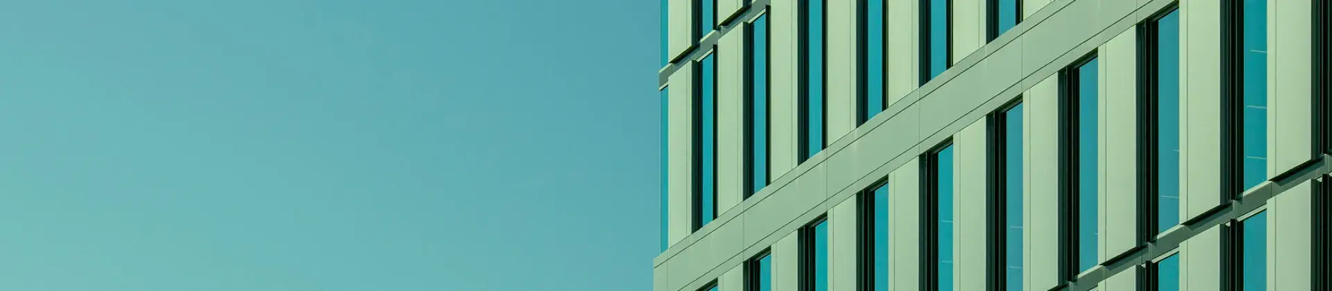 homepage - about us banner