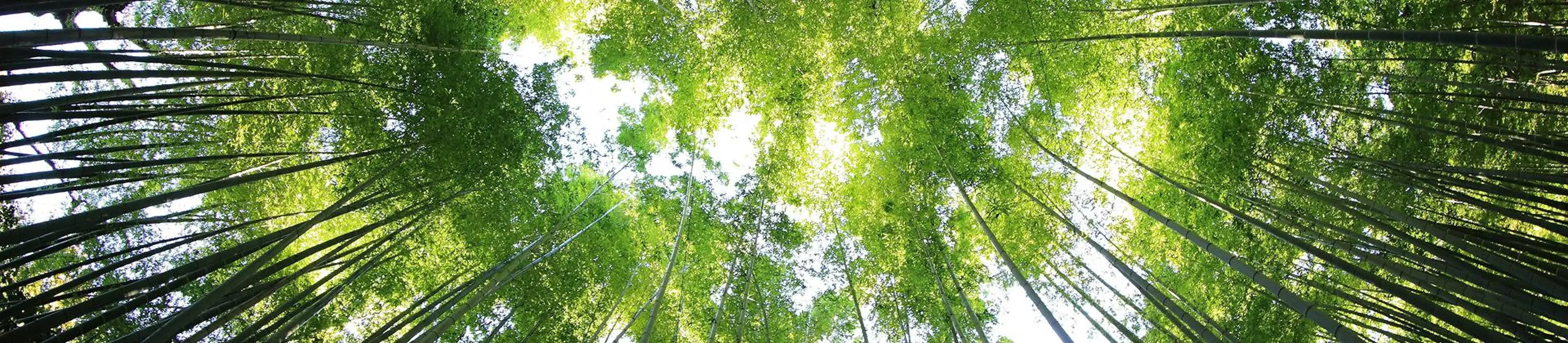 Ochrona środowiska - banner